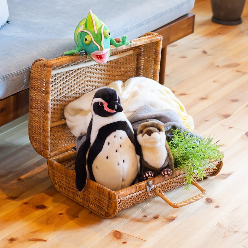 リアルぬいぐるみ コツメカワウソ | átoa MUSEUM SHOP アトア