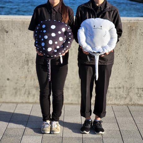 CATEGORY ポルカドットスティングレイ | átoa MUSEUM SHOP アトアミュ