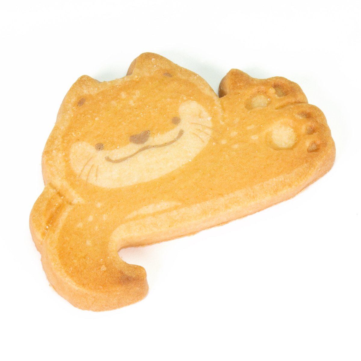 カワウソ♡流れ星クッキー☆ カワウソ♡流れ星クッキー☆