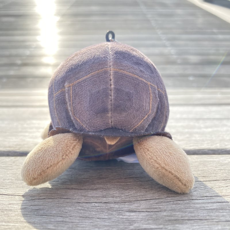 リアルぬいぐるみマスコット アルダブラゾウガメ | átoa MUSEUM SHOP