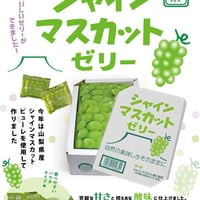 山梨県産シャインマスカットBOXゼリー（２０個入）