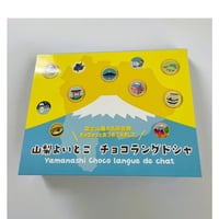 山梨よいとこチョコラングドシャ