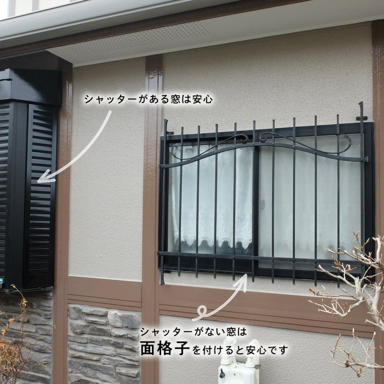 Window Grille 3