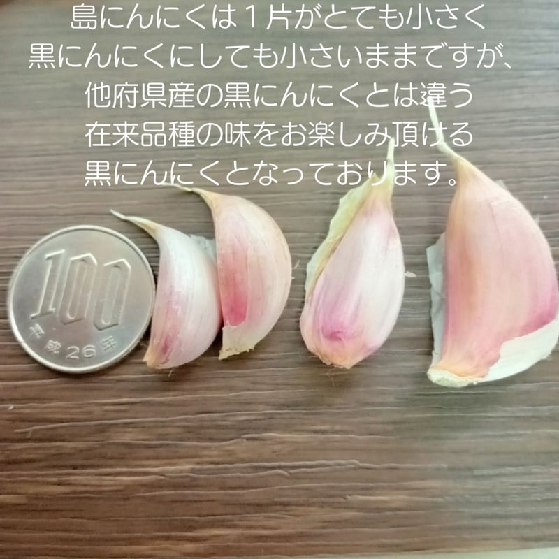 沖縄県産黒にんにく 3袋セット（1袋 3球入り 計9球） | 沖縄黒