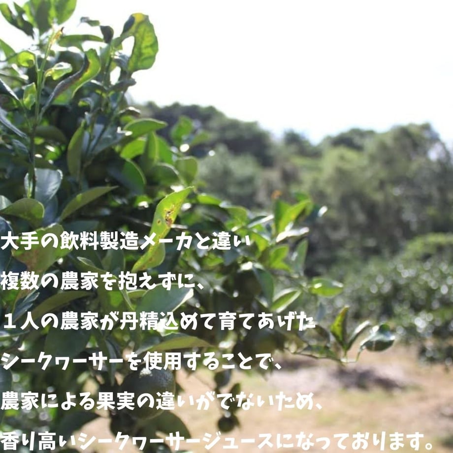 61f23c6672c5de7eb9e2d202