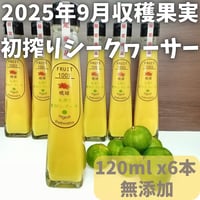 丸搾り 青切りシークヮーサー果汁 １２０ml ６本セット
