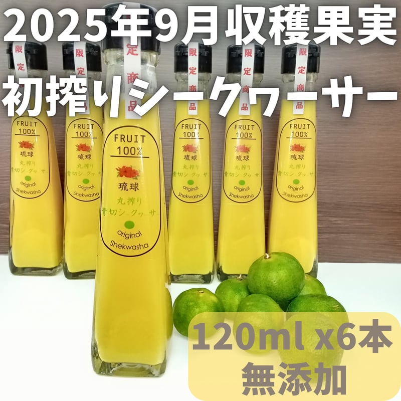 丸搾り 青切りシークヮーサー果汁 120ml 6本セット | 沖縄黒