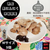 沖縄県産黒にんにく　３袋セット（１袋 ３球入り　計９球）