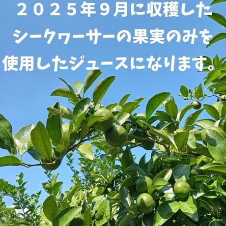 丸搾り 青切りシークヮーサー果汁 １２０ml ５本セット