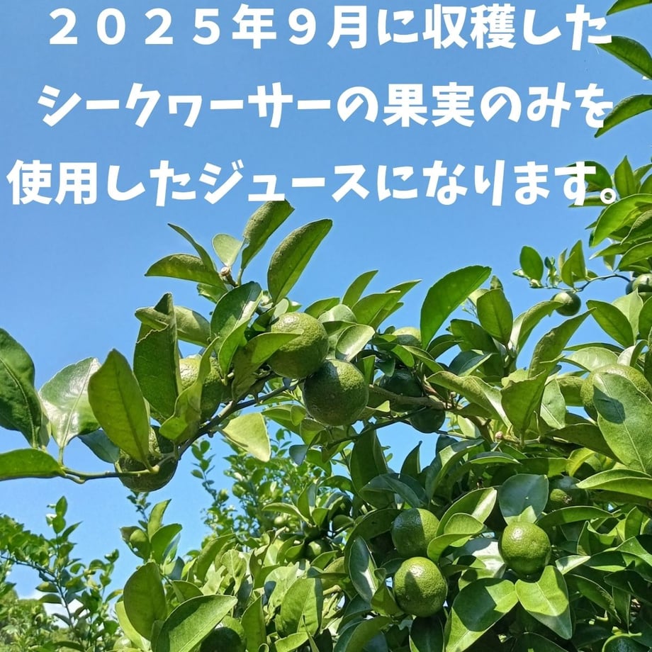 65cc71e91c5df0003359c56b