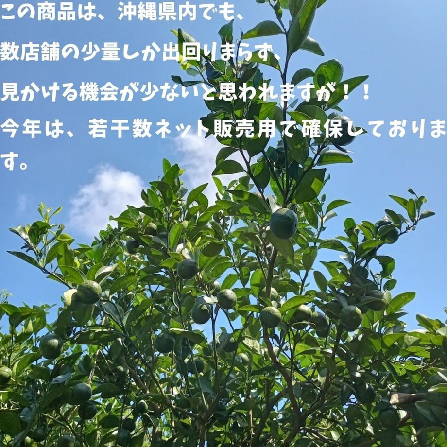 655afa6ece1b81002ea138a1