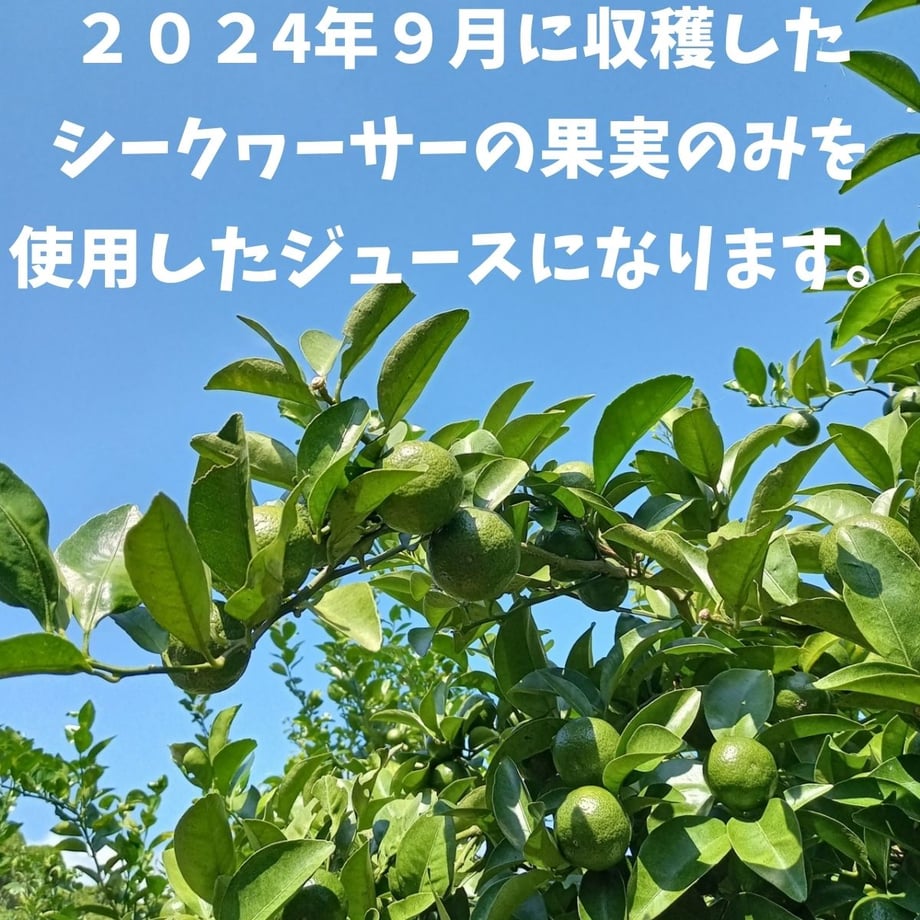 61f23c6672c5de7eb9e2d202