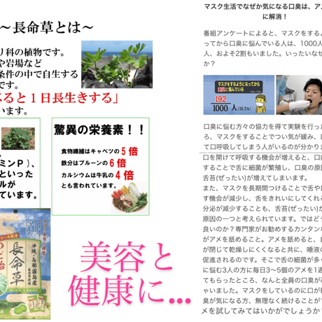 沖縄県産品　竹製菓　のど飴　３種