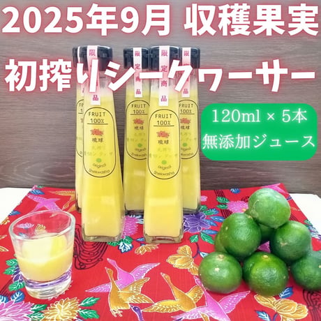 丸搾り 青切りシークヮーサー果汁 １２０ml ５本セット
