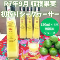 丸搾り 青切りシークヮーサー果汁 １２０ml ４本セット