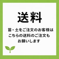 送料全国一律600円　ゆうパック