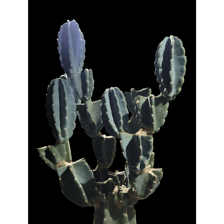 6721f56fa29c4f02308eab85