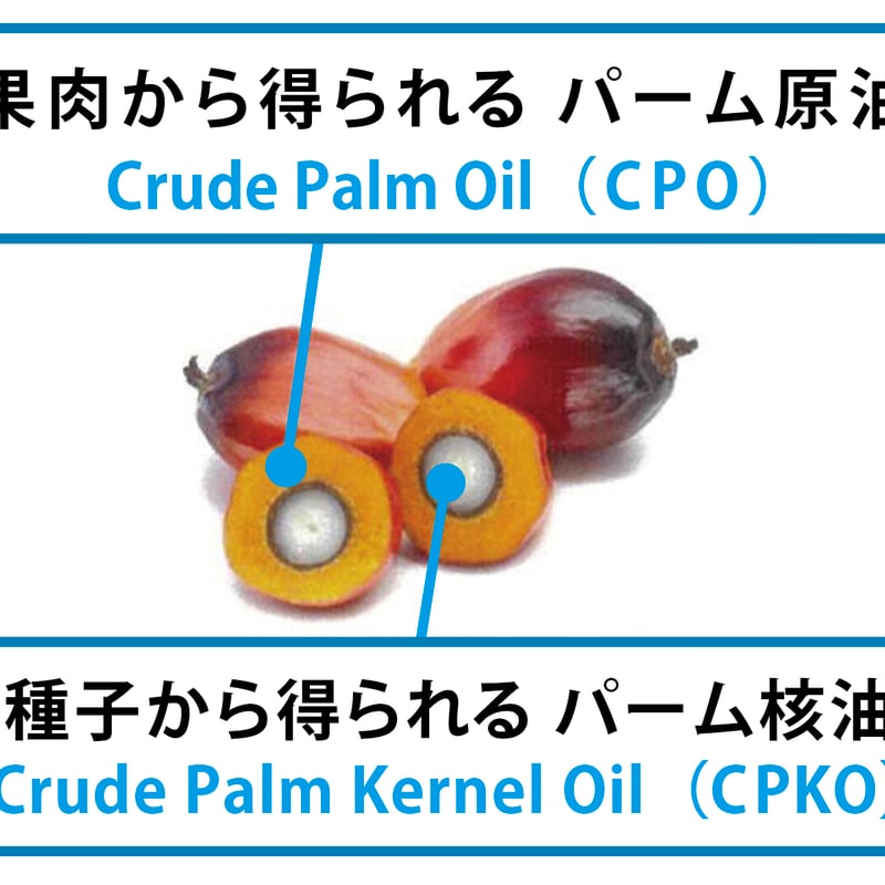 パームオイル500g（手作り石けん用） | naturial