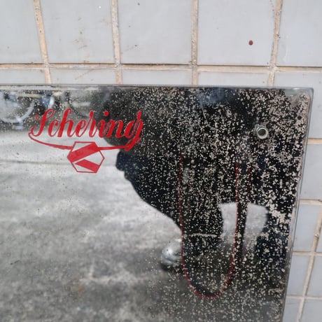 鱗