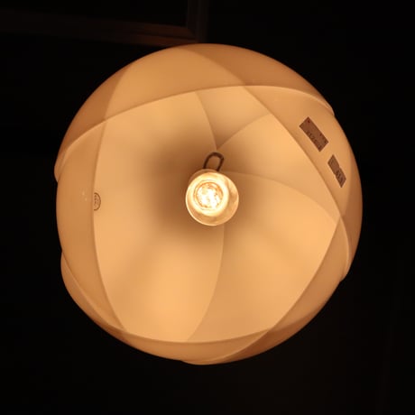 咲きかけのつぼみ