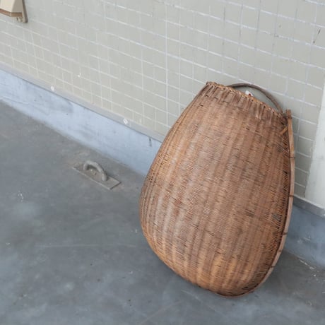 私 might お米育てる