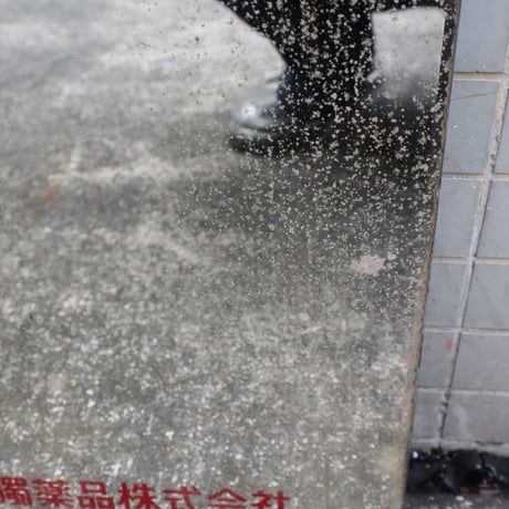 鱗