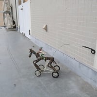 まくり王