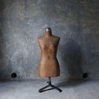 セノキ洋装のトルソー