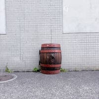 ライオンノッカー