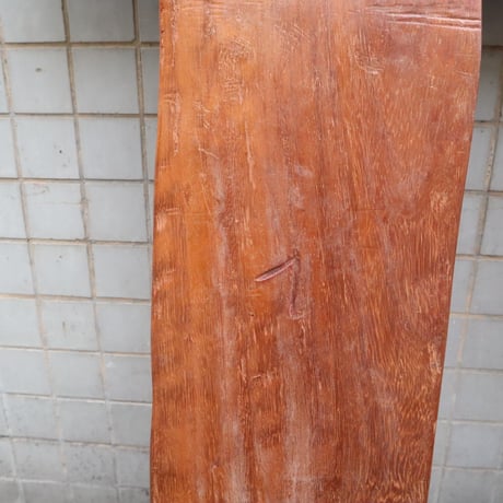 右象