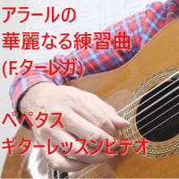 アラールの華麗なる練習曲(F.ターレガ)