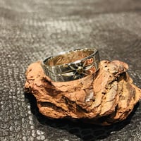 SUN RING | A BOMBER AKITA