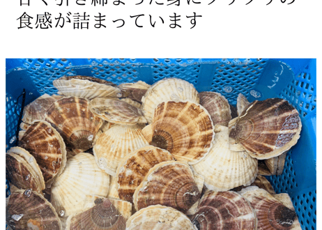 オホーツク産活帆立