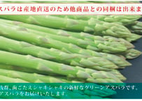 お届けは7月中旬～グリーンアスパラ　Lサイズ900ｇ　夏芽アスパラ お届けは7月中旬～