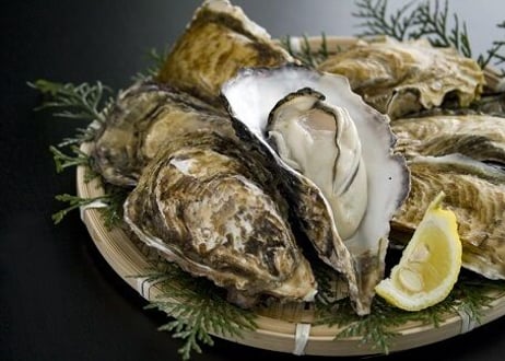 次シーズン11月販売開始予定　サロマ湖産　2年牡蠣2kg (約16粒前後）