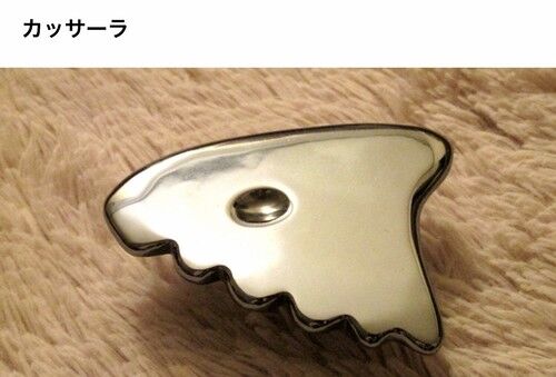 テラヘルツカッサ | CommuNekko's STORE