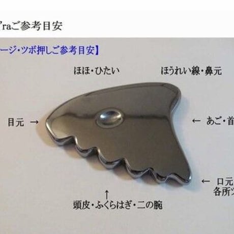 テラヘルツカッサ
