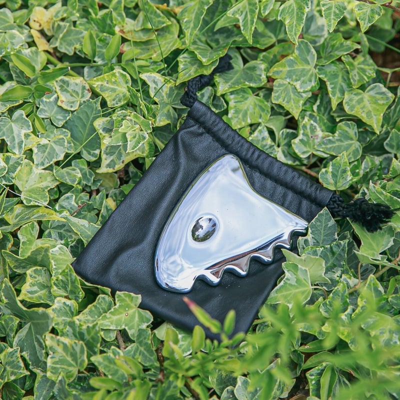 テラヘルツカッサ | CommuNekko's STORE