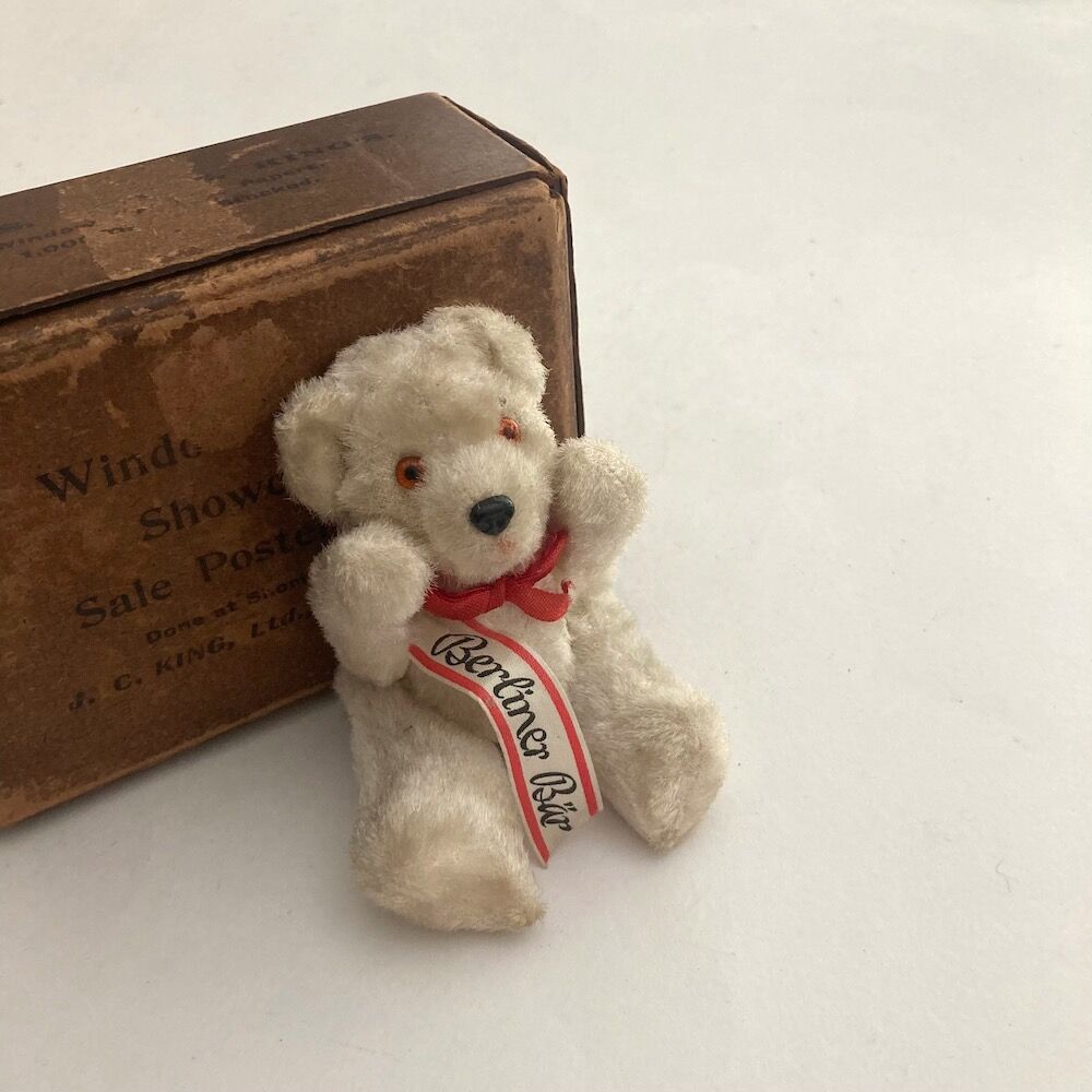 berlin bear | cocon