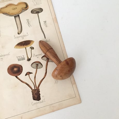 まっしゅるーむ CATEGORY 13.DARNING MUSHROOM ダーニングマッシュルーム | cocon