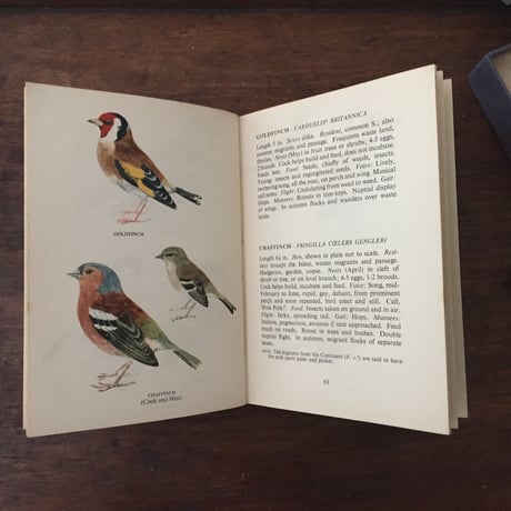 old book / A BIRD BOOK FOR THE POCKET