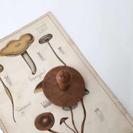 darning mushroom / ダーニングマッシュルーム