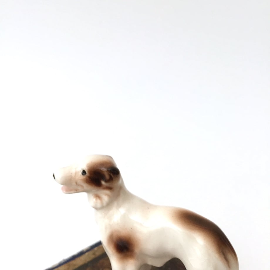 69c3701a99747d005c753a91