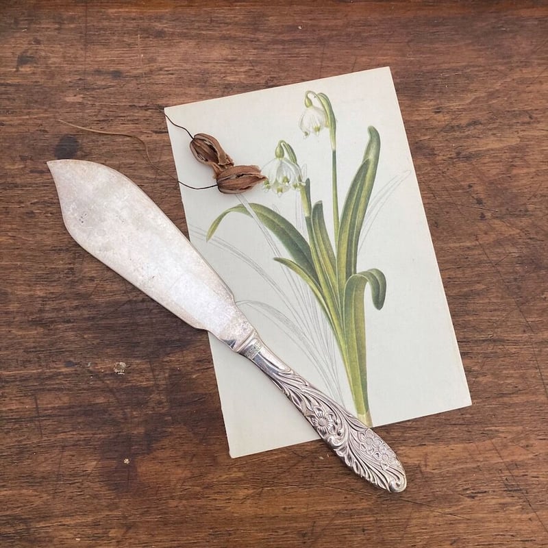 knife アンティークケーキナイフ フィッシュナイフ | cocon