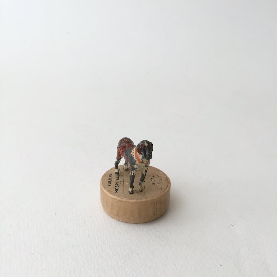 コペン　フィギリン　戯れている子犬 ⭐️White Angel Kennel⭐️ | カリン出産致しました🐣✨ 2025年