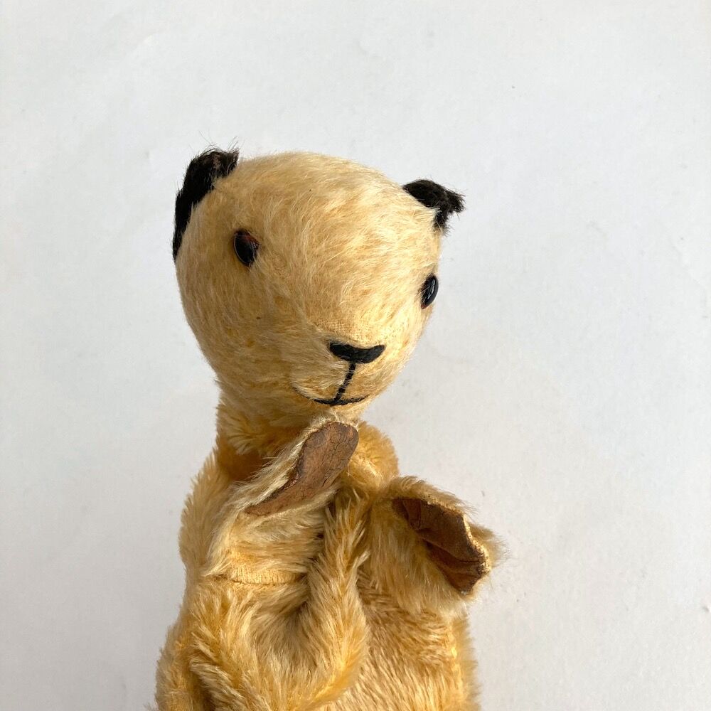 sooty puppet アンティークスーティベア | cocon