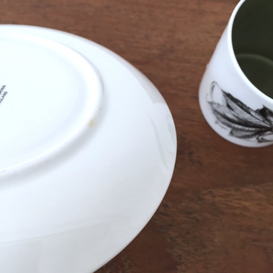 Susie Cooper black fruit c&S / スージークーパーブラックフルーツ