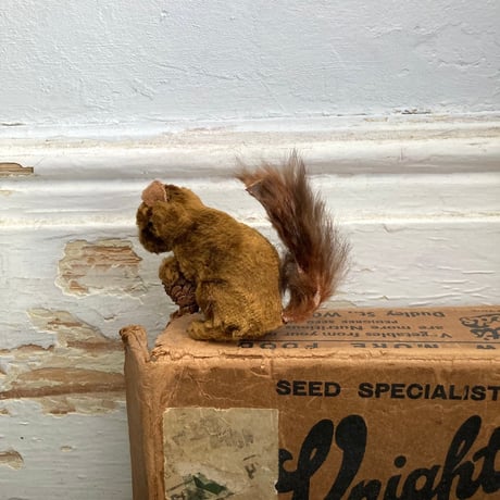 stuff squirrel / アンティークリスのぬいぐるみ