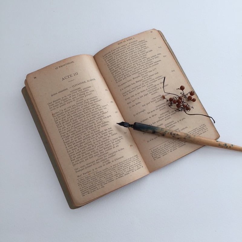 old book / フランス古書 MISANTHROPE FABLES CHOISIES | old book / フランス古書 MISANTHROPE FABLES CHOISIES |