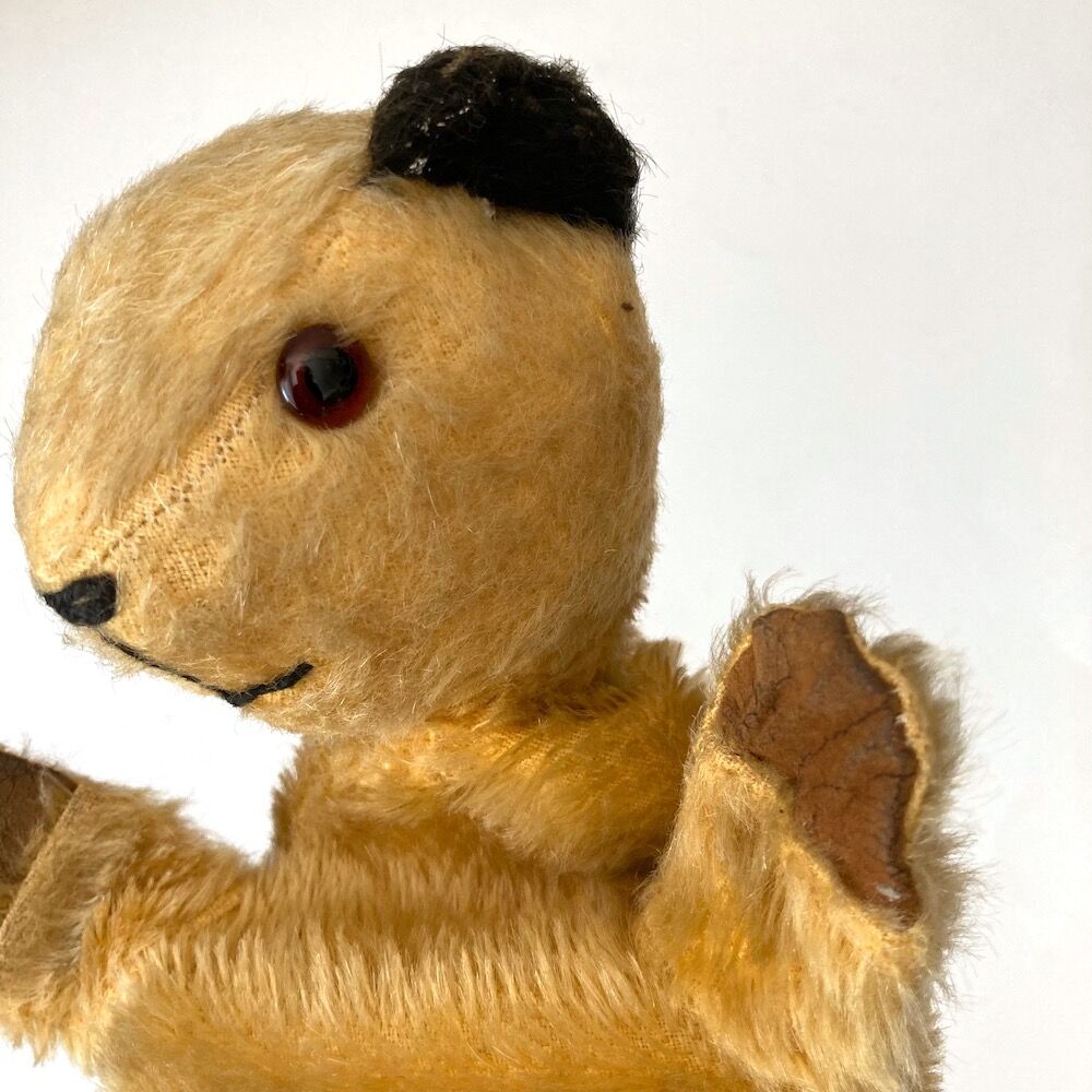 イギリス アンティーク テディベア SOOTY ヴィンテージ スーティ sooty puppet アンティークスーティベア | cocon